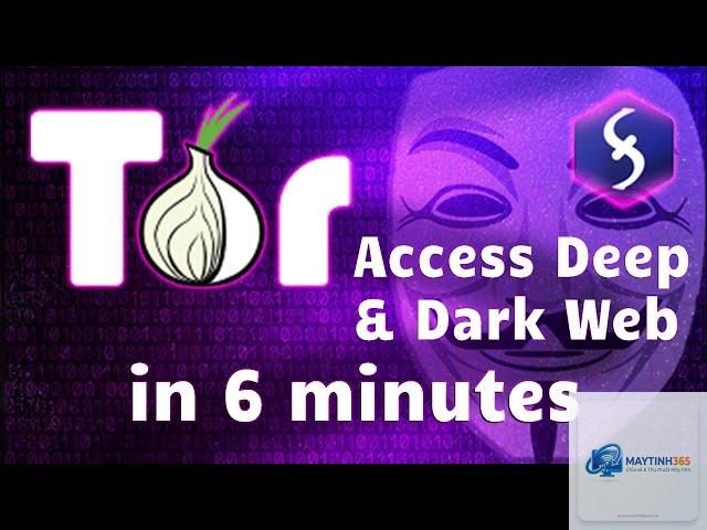 Tor Browser - Hình 4