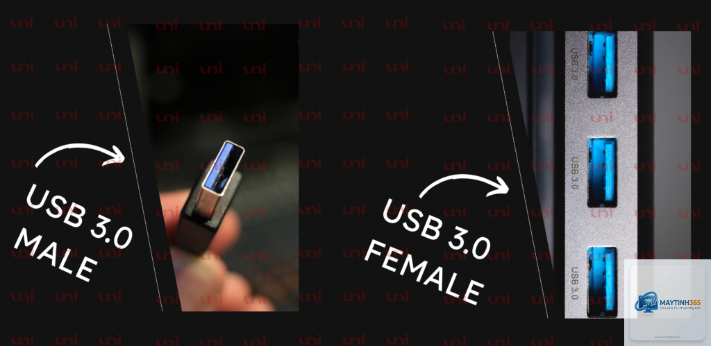 USB 3.2 vs USB4