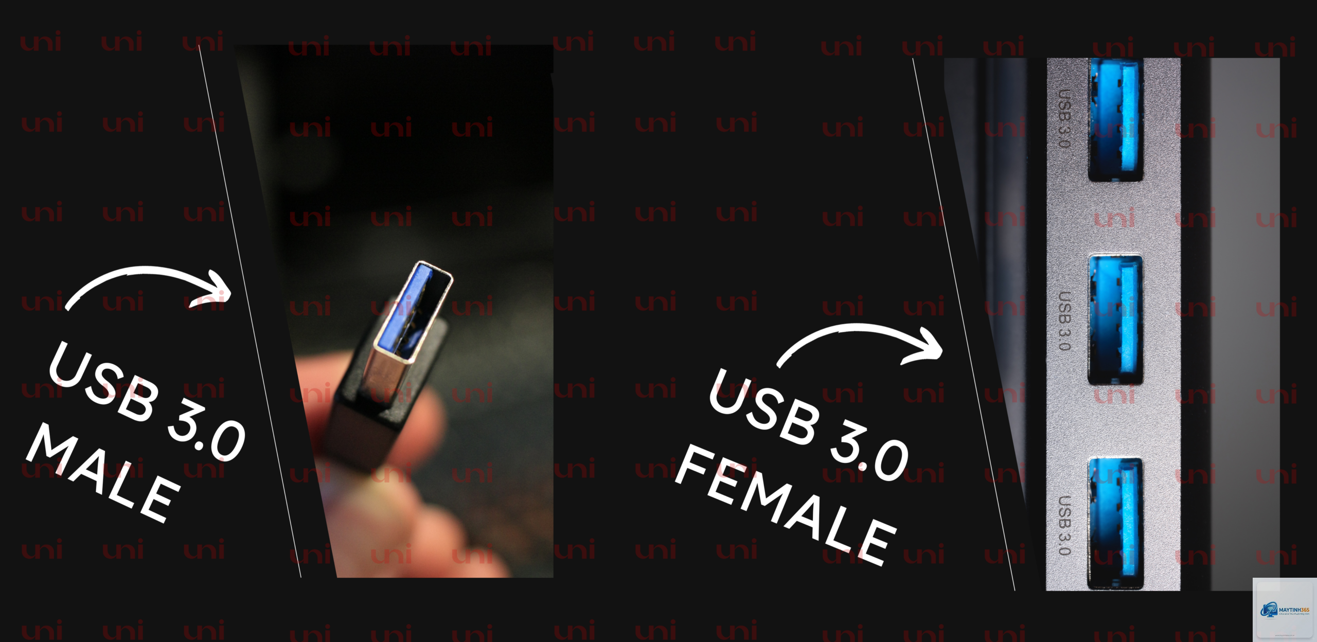 USB 3.2 vs USB4 - Hình 1