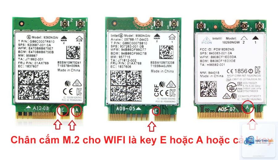WiFi Mainboard vs không WiFi - Hình 2