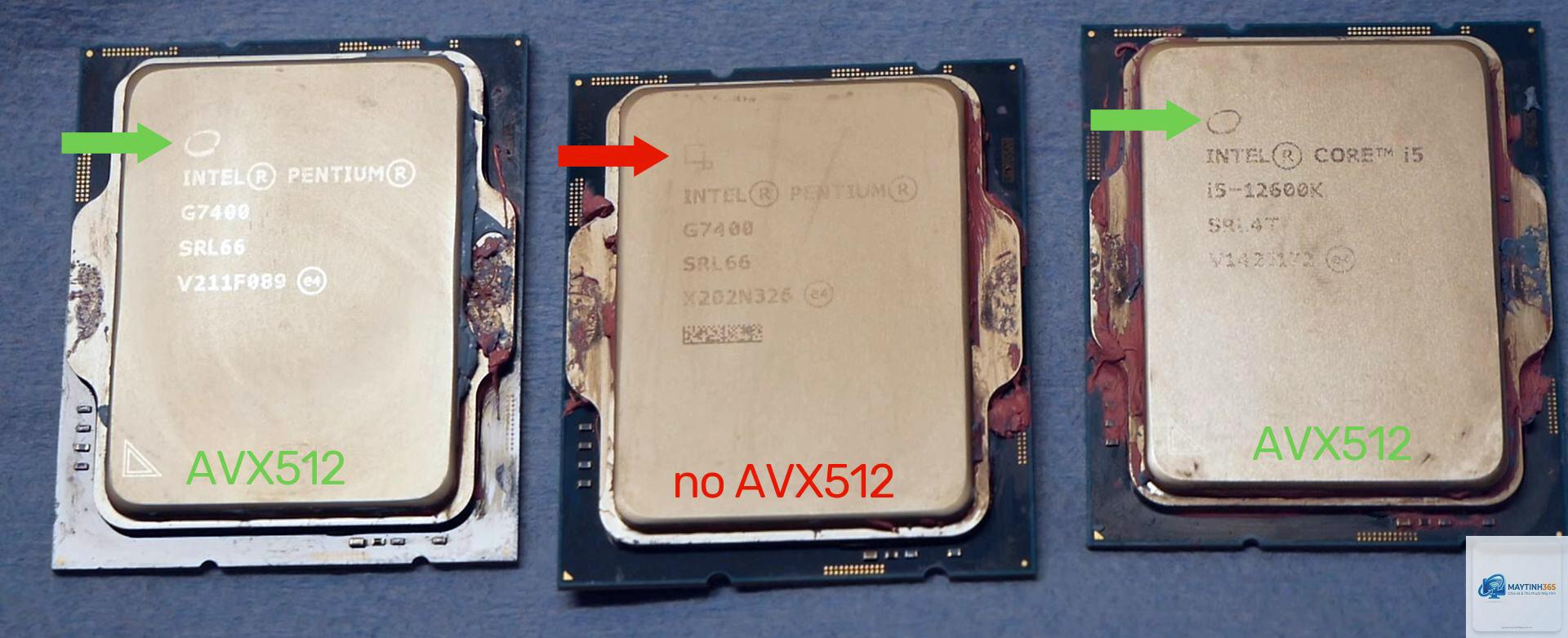 Intel AVX-512 vs AMD AVX-512 - Image 1
