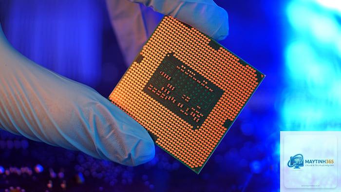 Intel CPU vs AMD CPU IPC - Image 5