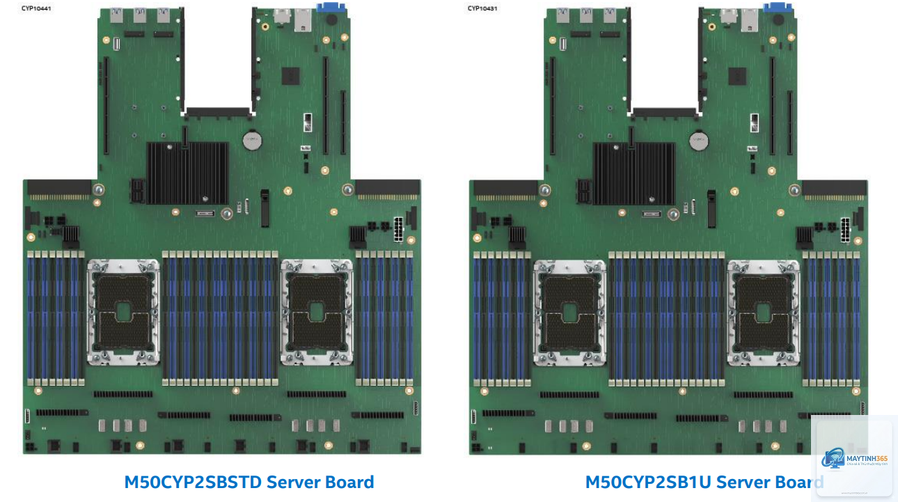 Intel CPU vs AMD CPU server - Image 2