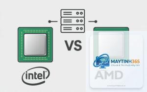 Intel CPU vs AMD CPU server