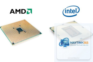 Intel CPU vs AMD CPU socket