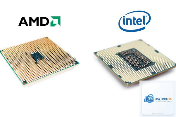 Intel CPU vs AMD CPU socket - Image 1