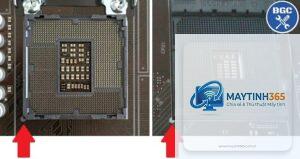 Intel socket vs AMD socket