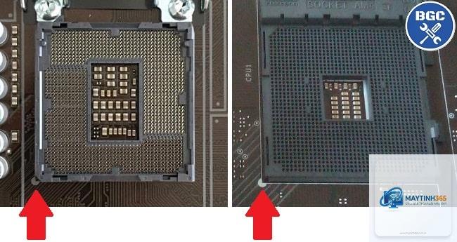 Intel socket vs AMD socket - Image 1